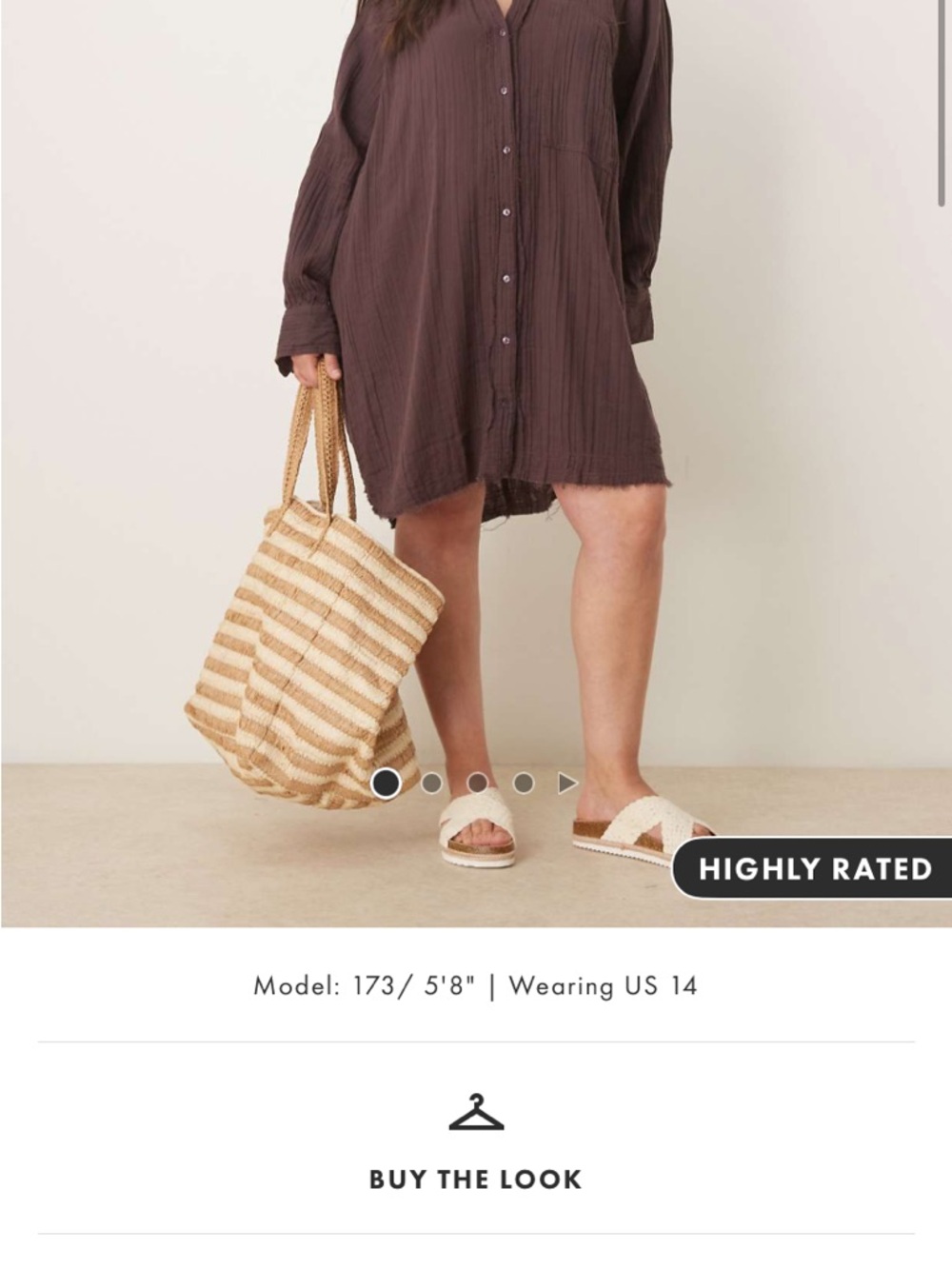 ASOS Curve Brown Button-Down Dress/Cover-Up